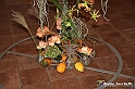 VBS_0182 - Corollaria Flower Exhibition 2022